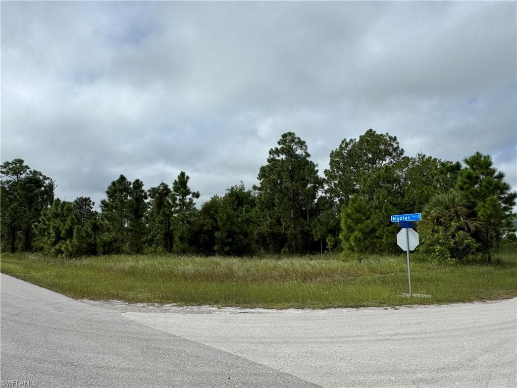 1254 Egbert ST E LEHIGH ACRES, FL 33974
