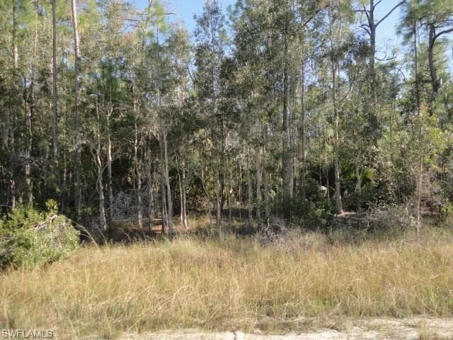 275 Woodburn DR LEHIGH ACRES, FL 33972
