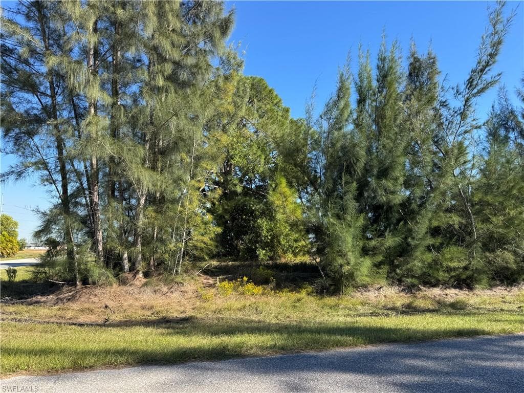 1729 NW 1st AVE CAPE CORAL, FL 33993