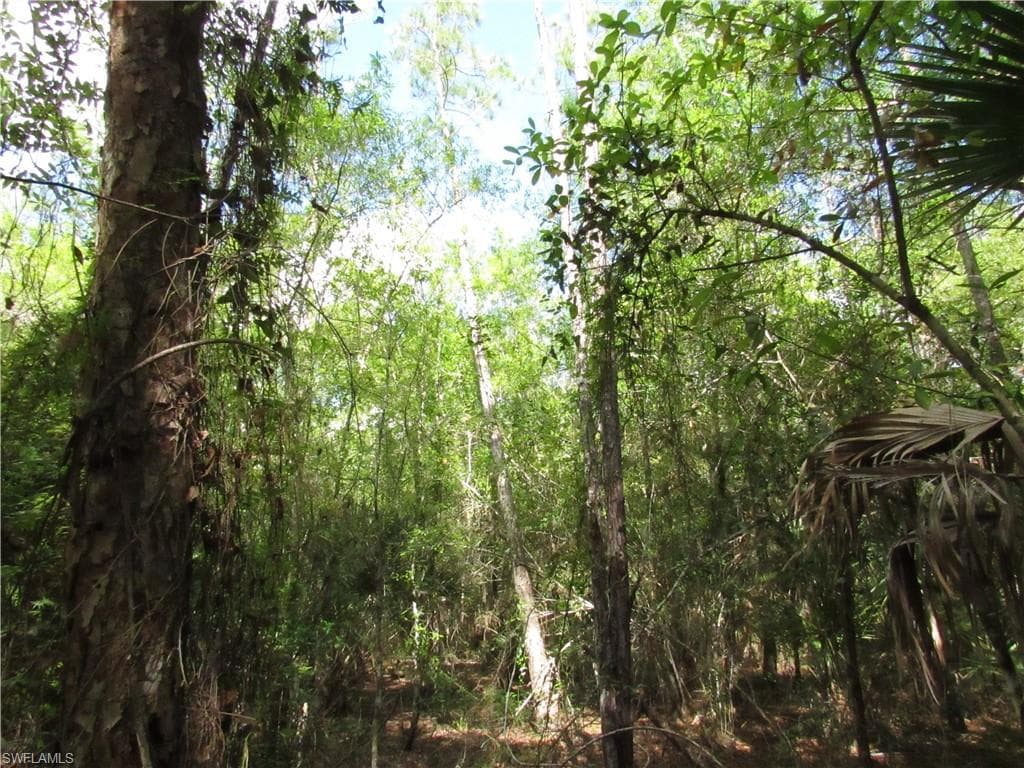 1130 Debbie LN LABELLE, FL 33935