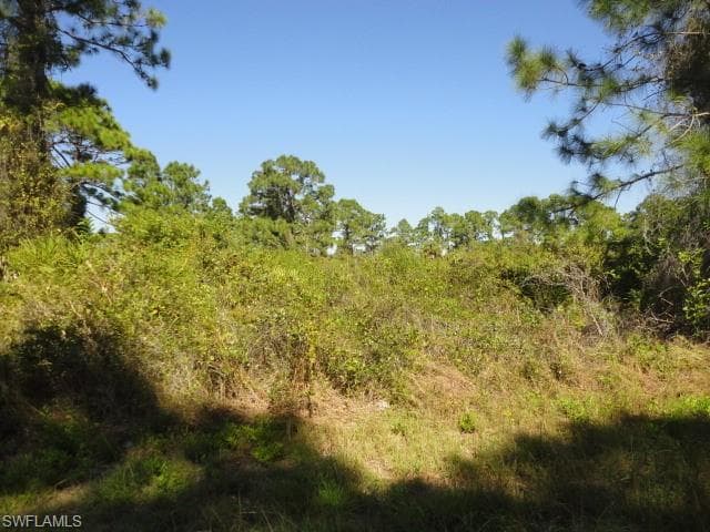 927 Fern ST E LEHIGH ACRES, FL 33974