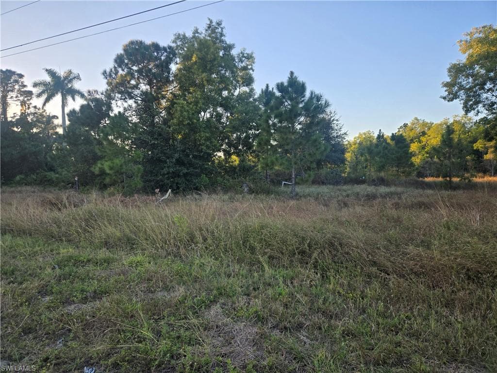 521 Denbigshire ST LEHIGH ACRES, FL 33974