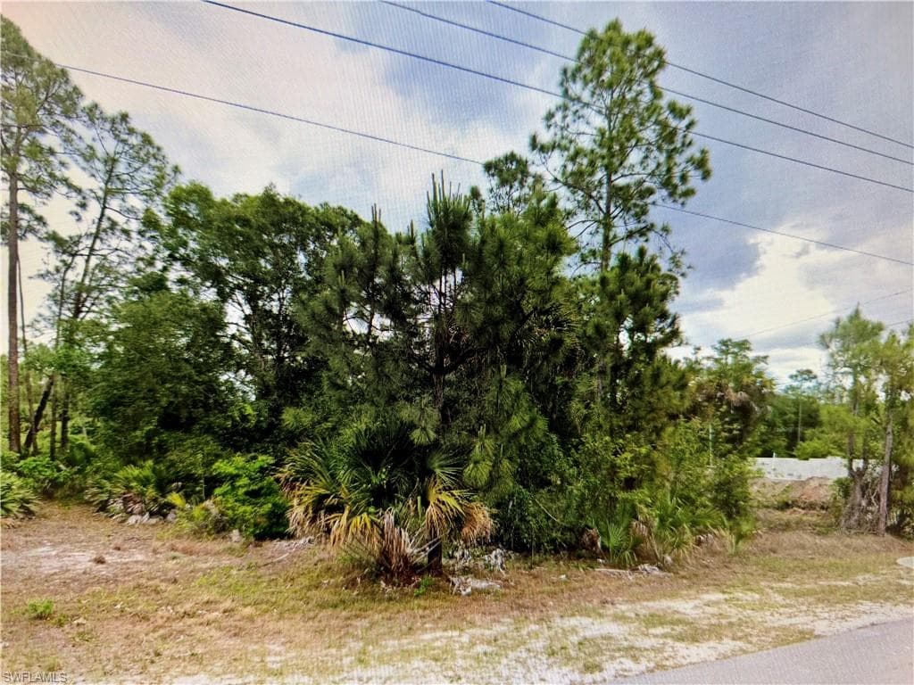 403 E 17th ST LEHIGH ACRES, FL 33972