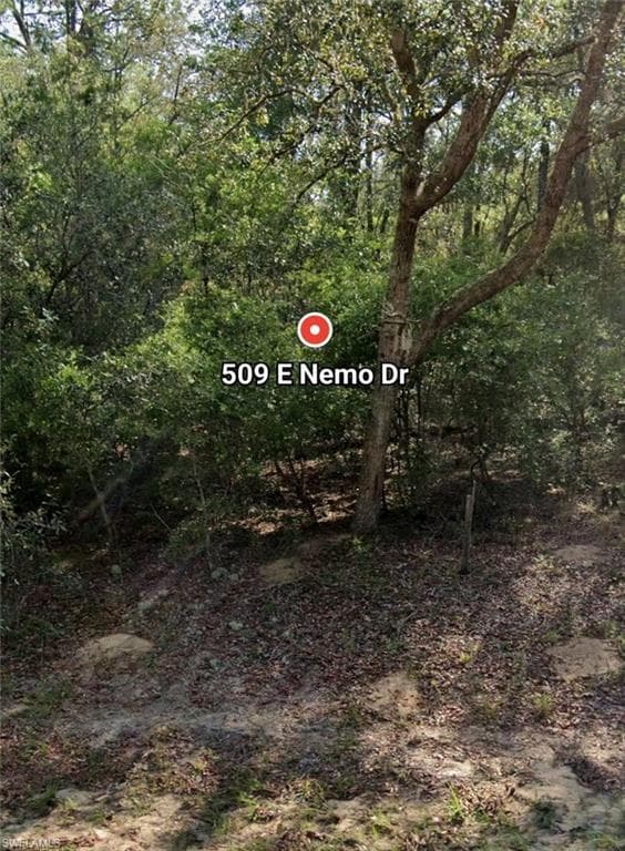 509 E Nemo DR CITRUS SPRINGS, FL 34434