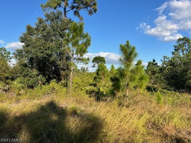 711 Da Vinci AVE S LEHIGH ACRES, FL 33974