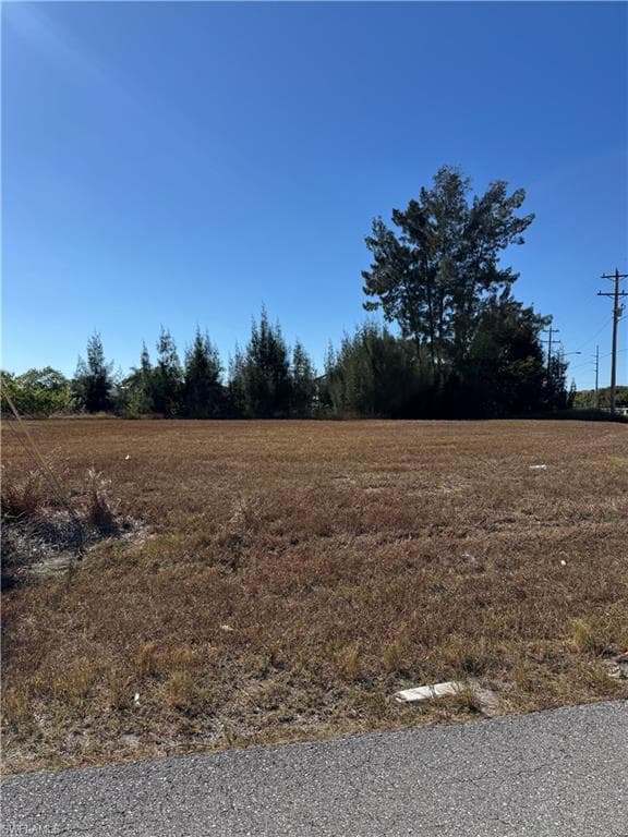2346 NE 19th PL CAPE CORAL, FL 33909