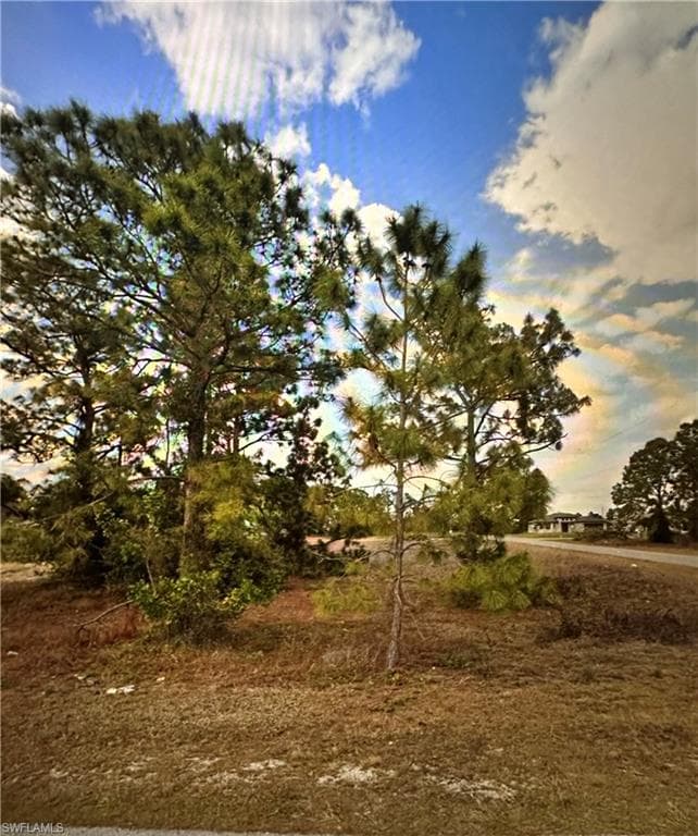 2914 19th ST SW LEHIGH ACRES, FL 33976
