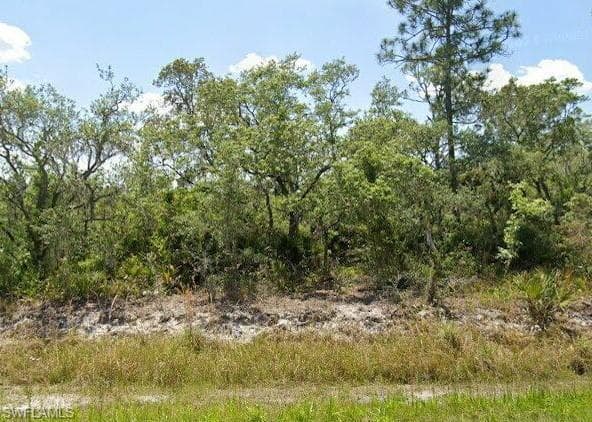 978 Archie Summers RD LAKE PLACID, FL 33852