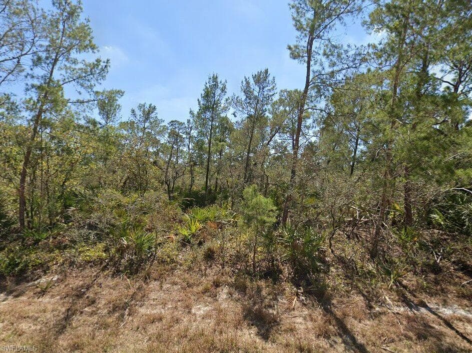 3234 Flatbush AVE LAKE PLACID, FL 33852