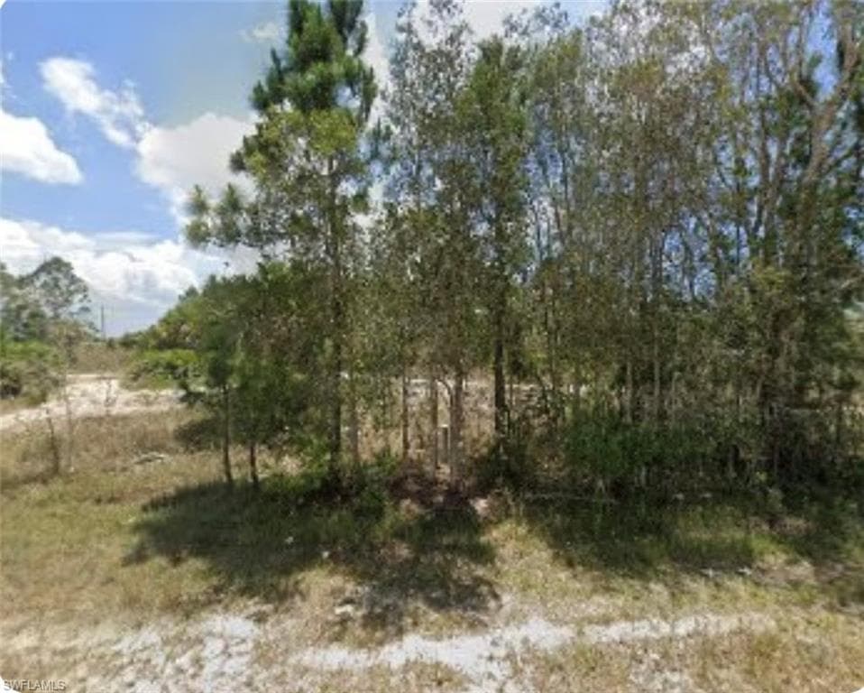 953 Gleason ST LEHIGH ACRES, FL 33974