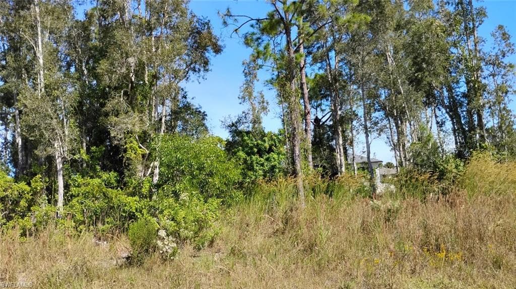 4810 30th ST SW LEHIGH ACRES, FL 33973