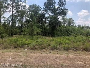 835 Duplex ST E LEHIGH ACRES, FL 33974