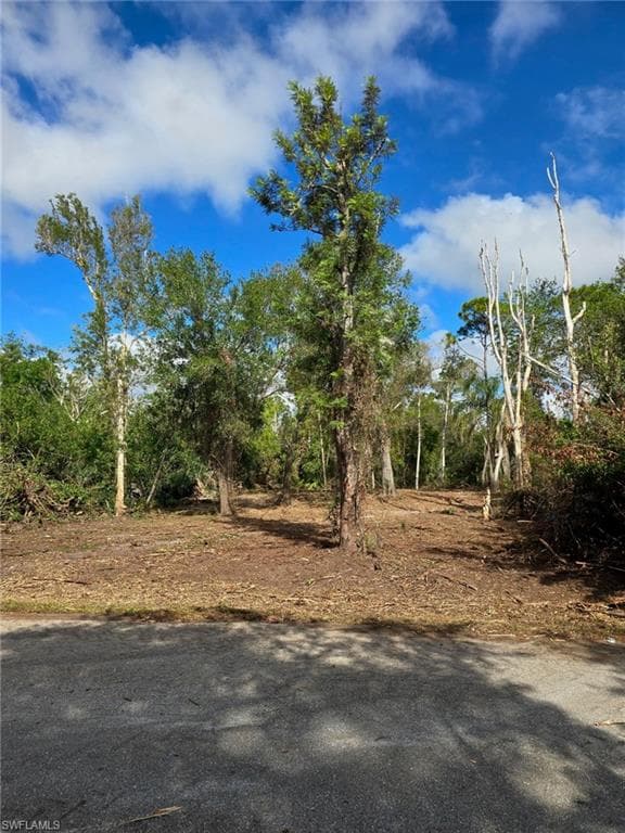 27442 S Twin Lakes DR PUNTA GORDA, FL 33955