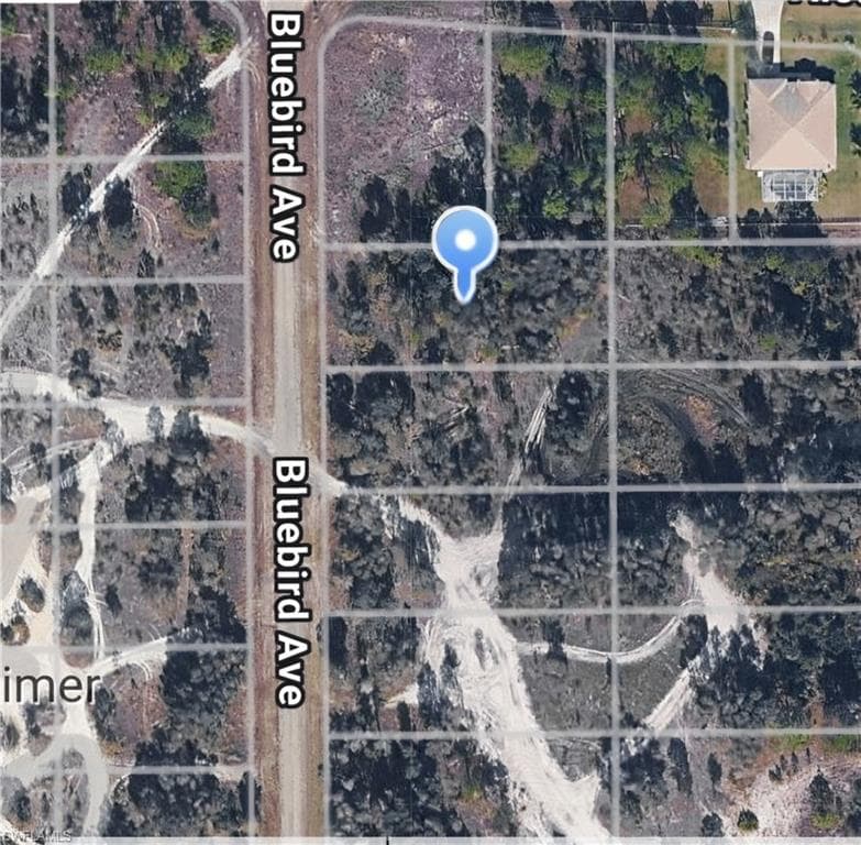 717 Bluebird AVE LEHIGH ACRES, FL 33974