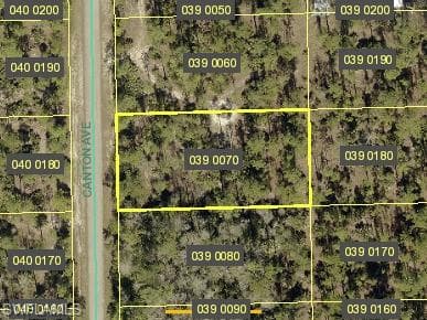 2310 Canton AVE ALVA, FL 33920