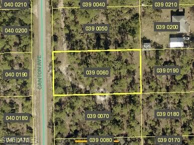 2312 Canton AVE ALVA, FL 33920