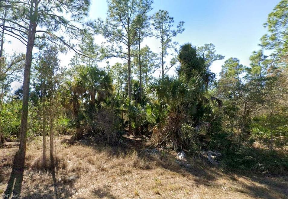 1105 W 14th ST LEHIGH ACRES, FL 33972