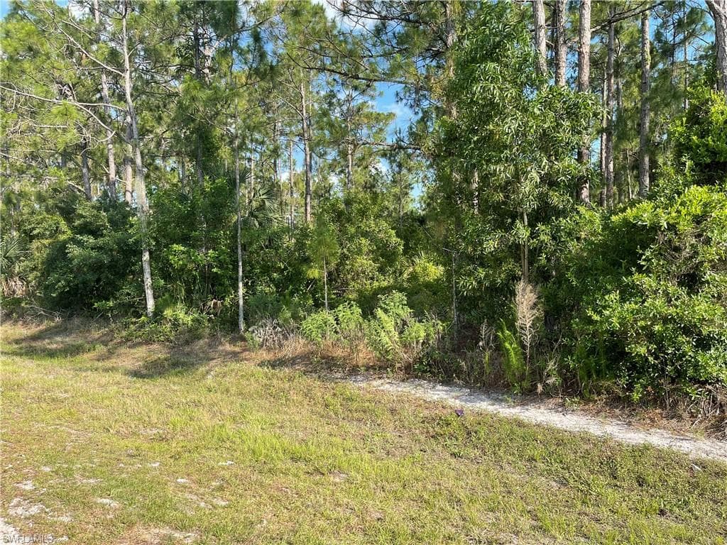 0 29TH Ave Everglades BLVD NAPLES, FL 34120