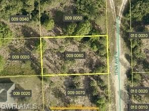 5905 Tena AVE N LEHIGH ACRES, FL 33971