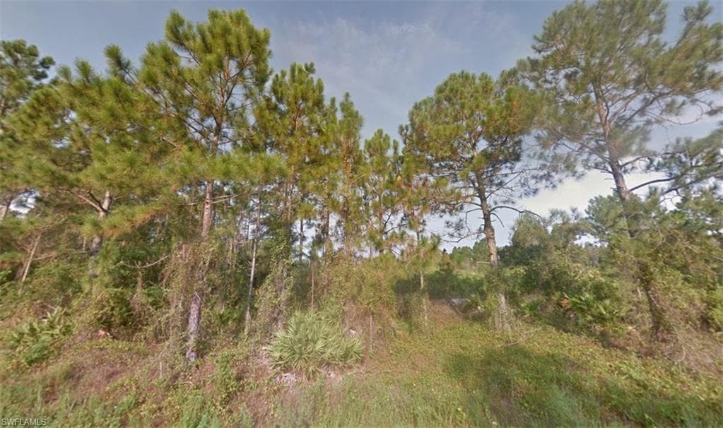 832 Chapman AVE S LEHIGH ACRES, FL 33974