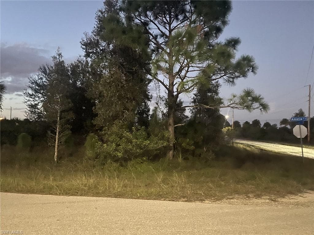 755 Amelia (corner Lot) ST E LEHIGH ACRES, FL 33974