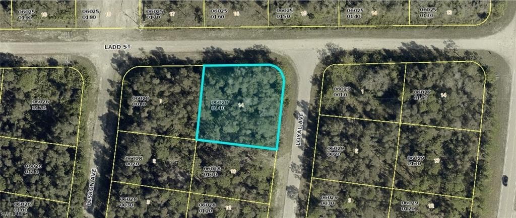 1008 Loyal AVE S LEHIGH ACRES, FL 33974