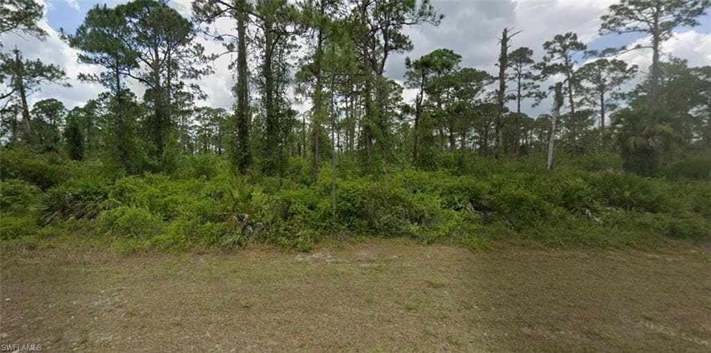 2017 Columbus AVE ALVA, FL 33920