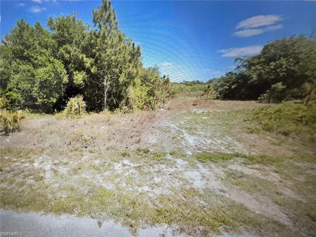 1438 Euclid AVE LEHIGH ACRES, FL 33972