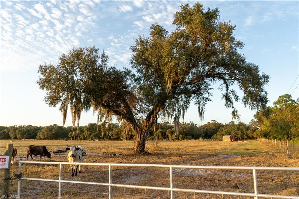 894 Cemetery RD LABELLE, FL 33935