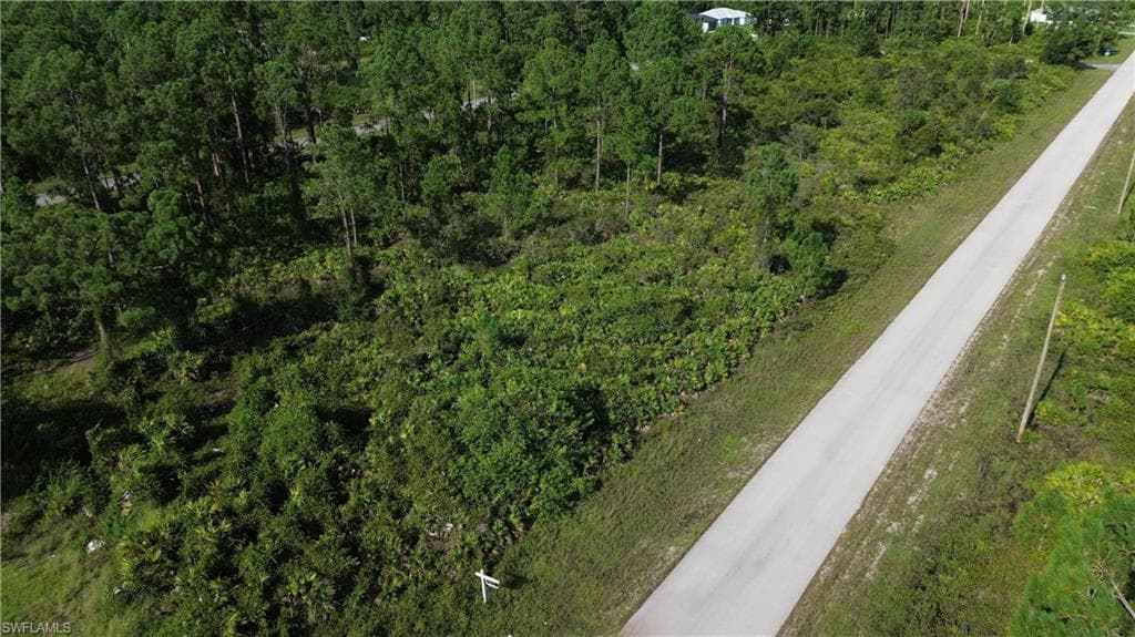 1115 Chiefland ST E LEHIGH ACRES, FL 33974