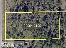 804 Desoto AVE LEHIGH ACRES, FL 33972