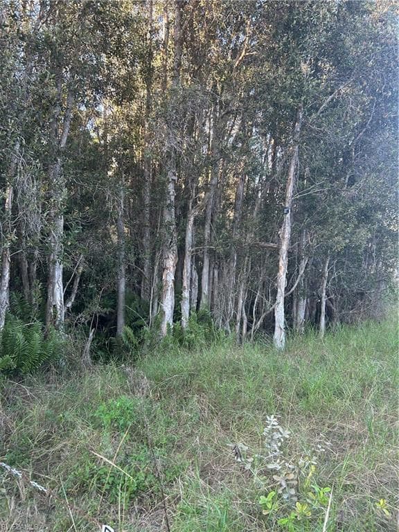 33608 Oil Well RD PUNTA GORDA, FL 33955