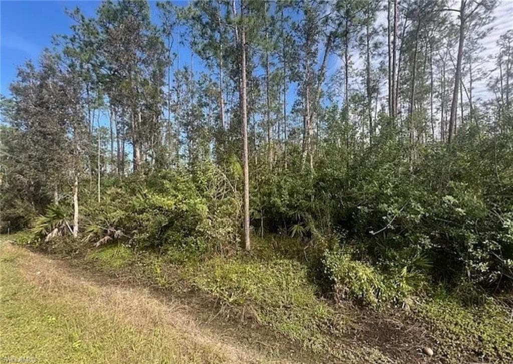 19311 Burgundy Farms RD ESTERO, FL 33928