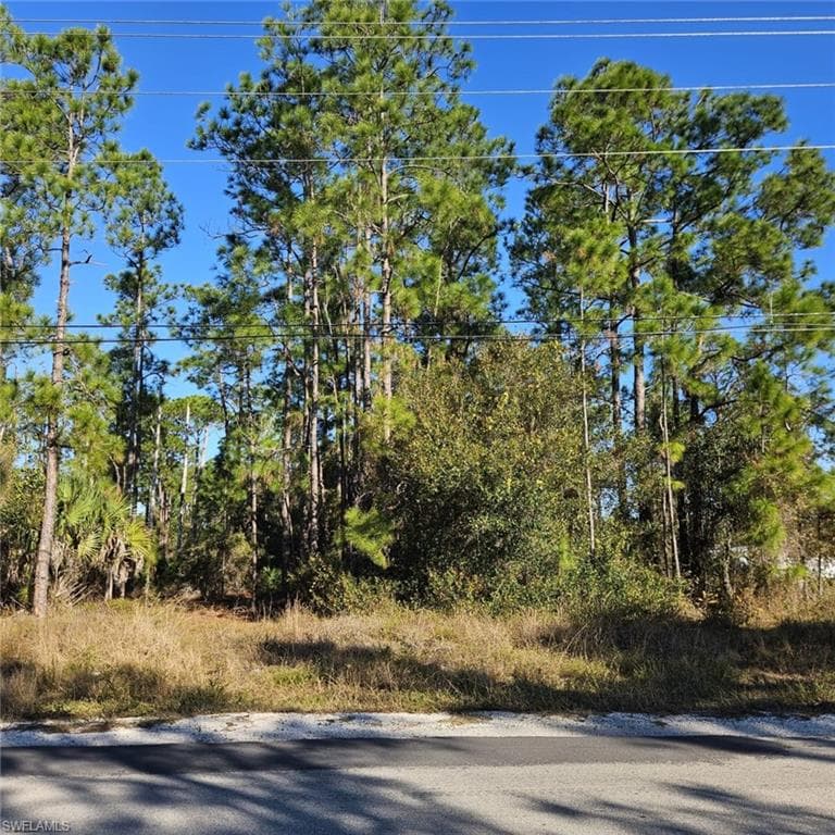 3903 E 10th ST LEHIGH ACRES, FL 33972
