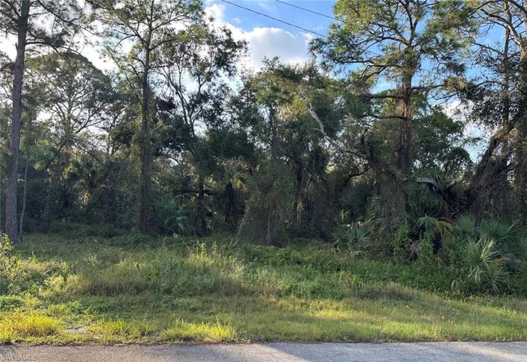 1711 Greenwood AVE LEHIGH ACRES, FL 33972