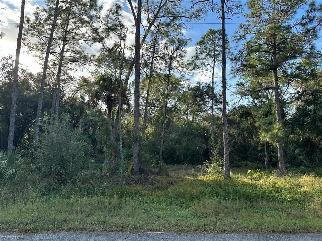 1713 Greenwood AVE LEHIGH ACRES, FL 33972