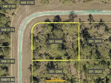 335 Tyrone AVE LEHIGH ACRES, FL 33972