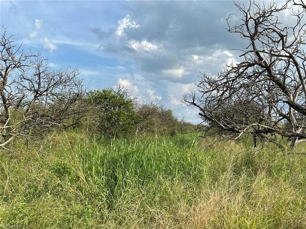 6876 5th RD LABELLE, FL 33935