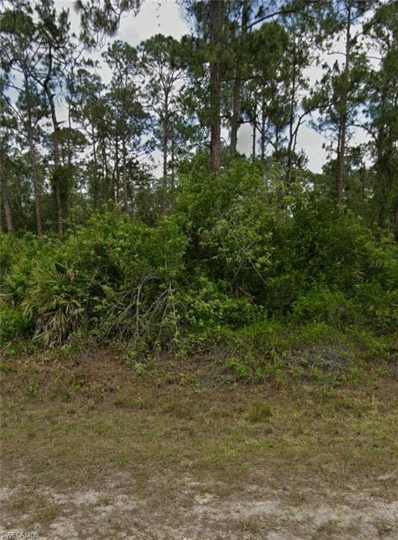 2114 Hamilton AVE ALVA, FL 33920