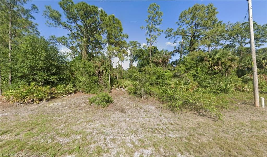 165 Birch AVE LEHIGH ACRES, FL 33974