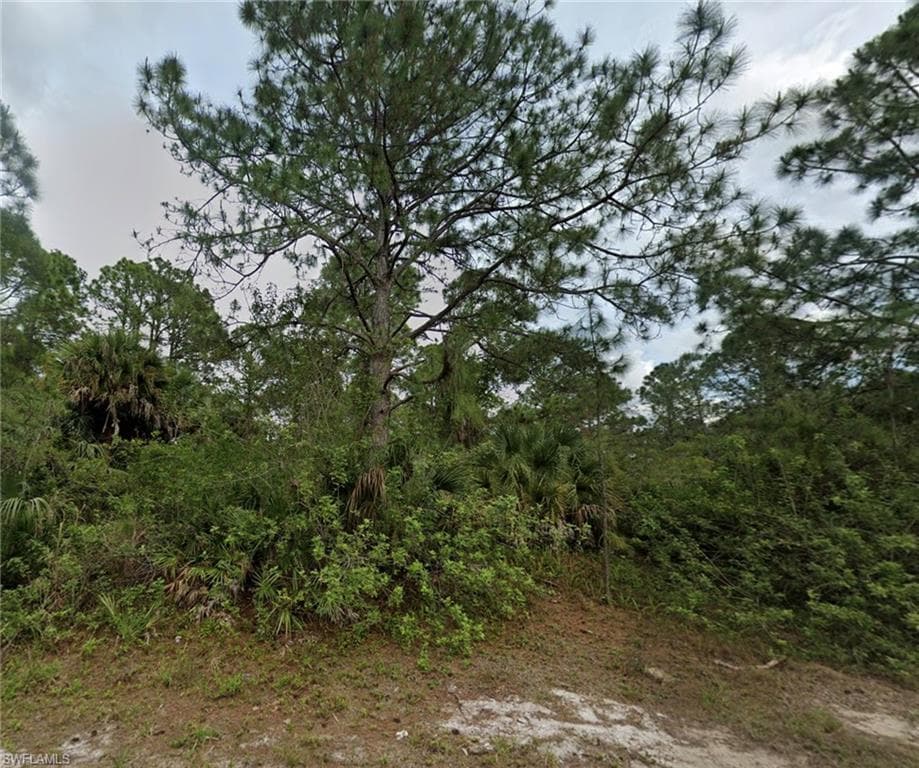 3302 Laura AVE N LEHIGH ACRES, FL 33971