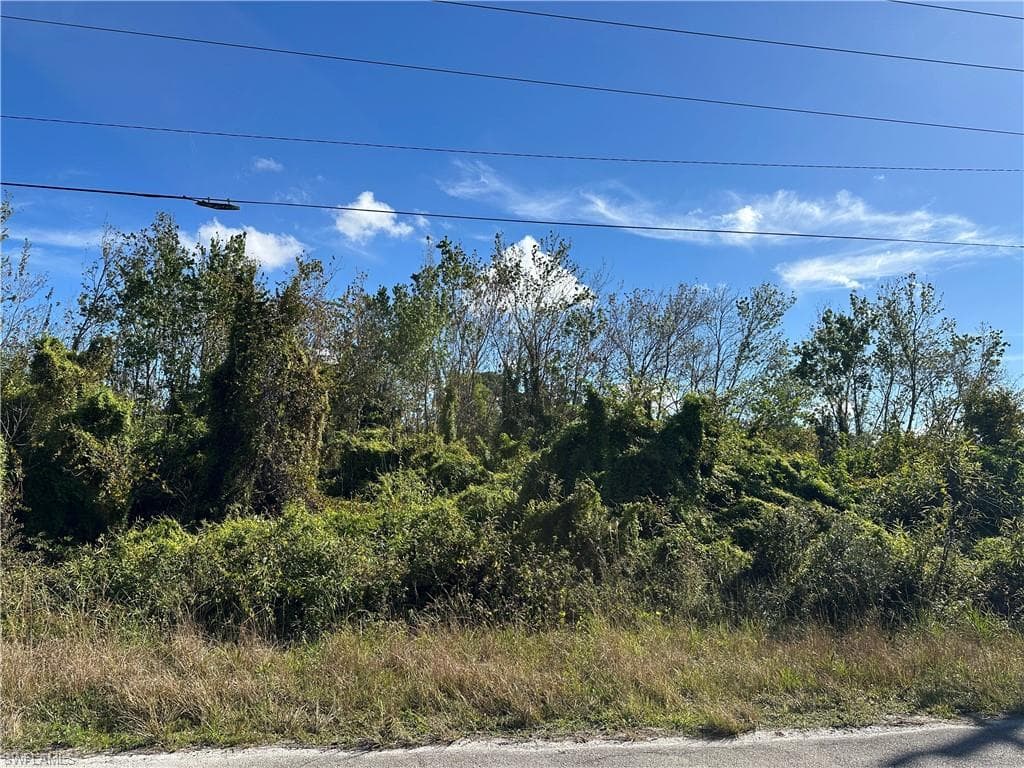 943 Joponica AVE S LEHIGH ACRES, FL 33974