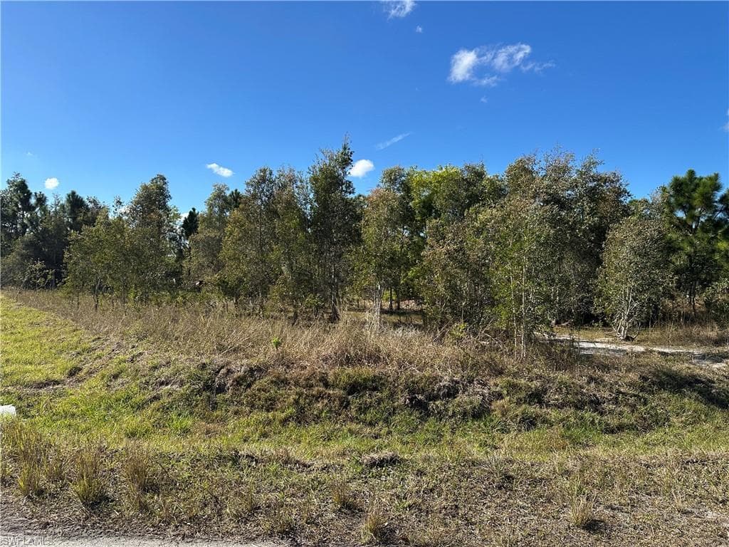 920 Panda DR LEHIGH ACRES, FL 33974