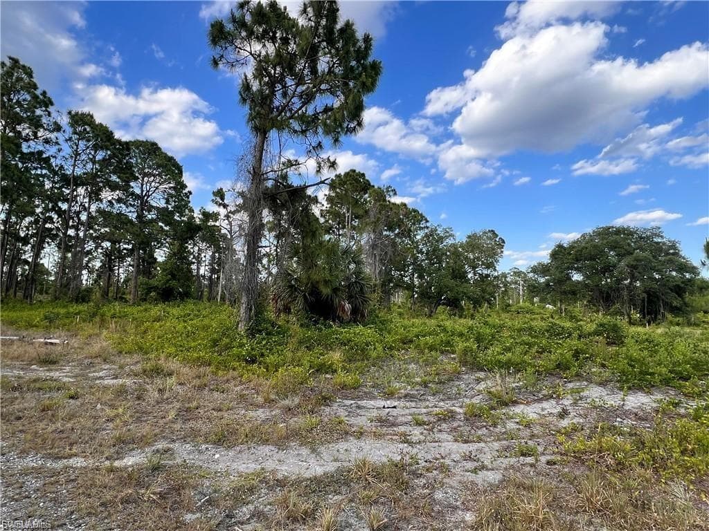 763 Worth AVE S LEHIGH ACRES, FL 33974