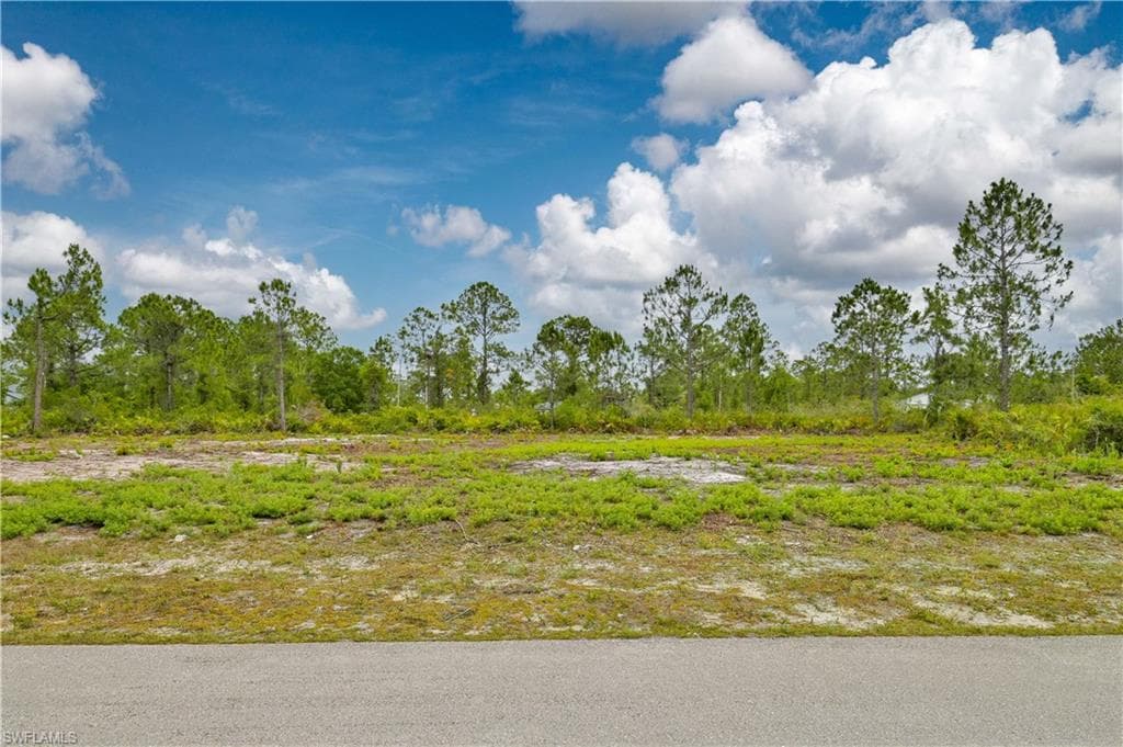 317 Bradley AVE LEHIGH ACRES, FL 33974