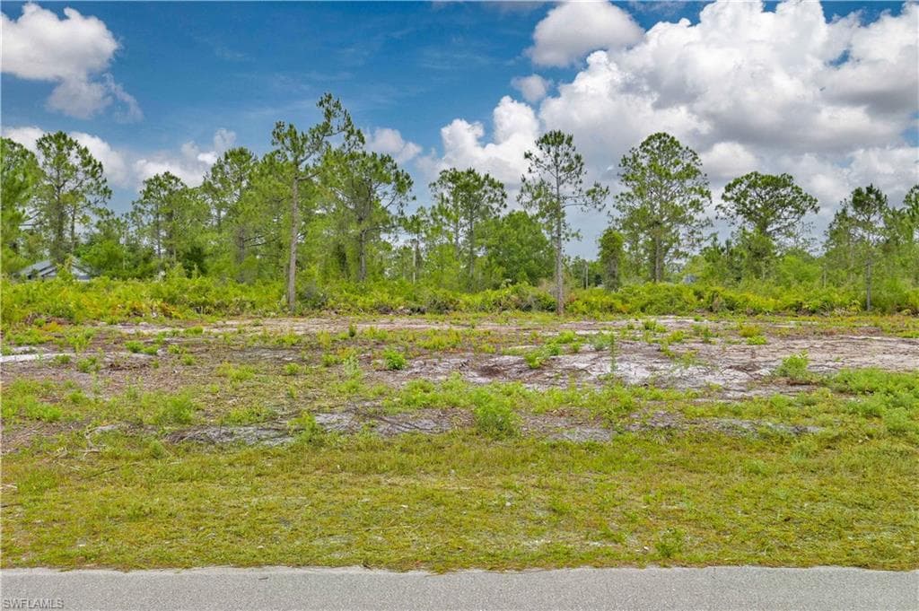 315 Bradley AVE LEHIGH ACRES, FL 33974