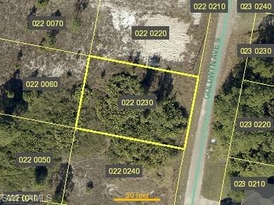 722 Goldwyn AVE S LEHIGH ACRES, FL 33974
