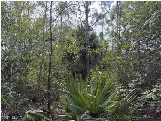 3380 52nd AVE NE NAPLES, FL 34120