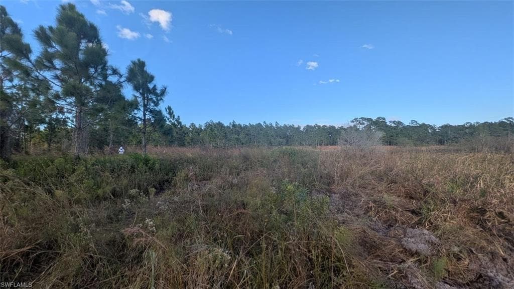 2402 Tampa AVE CLEWISTON, FL 33440