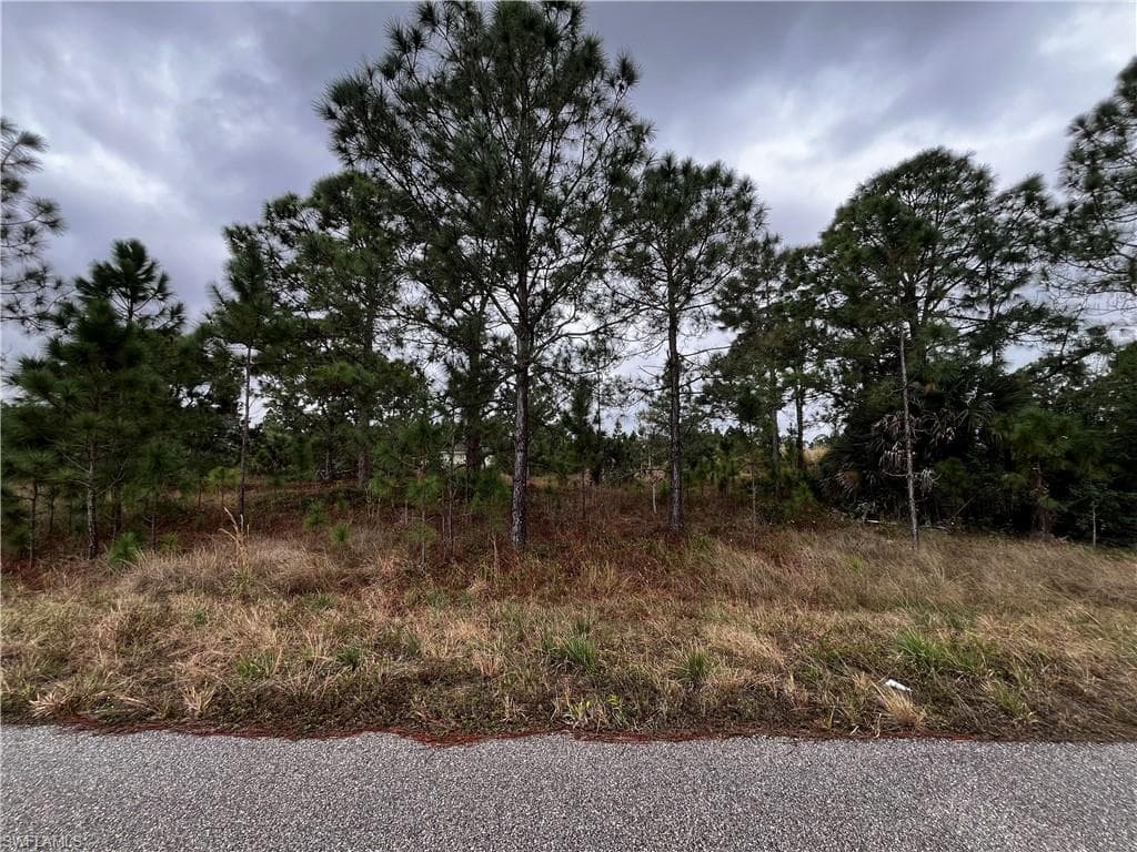 956 Derby ST LEHIGH ACRES, FL 33974